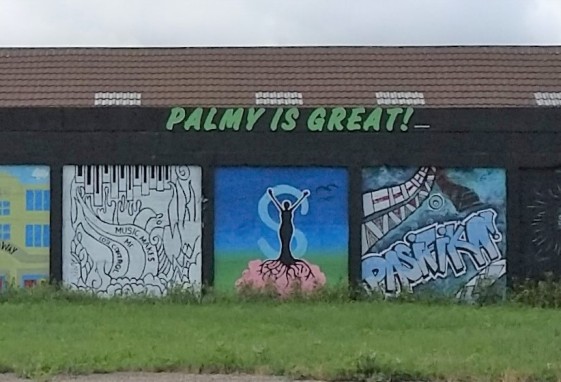 Palmy is great (3)